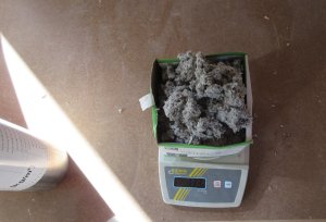 セルロースファイバーの密度を測定しています。